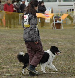 20120226JKC埼玉ブロック訓練競技会